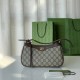 Gucci Ophidia GG Small Handbag 735145