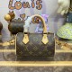 Louis Vuttion Monogram Nano Speedy M82624 Vivienne Print