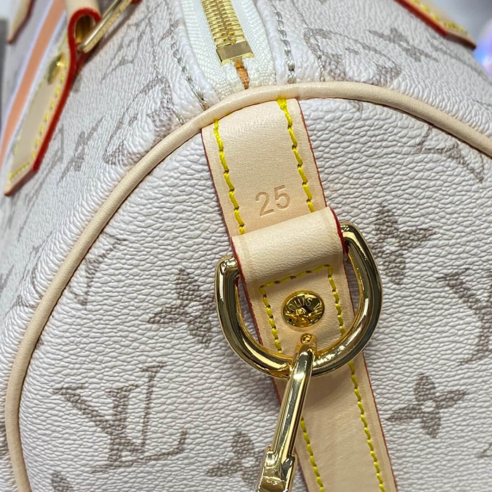 Louis Vuitton Monopaname Canvas Speedy Bandouliere 25 M46749