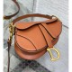 Dior Mini Saddle Bag with Strap Grained Calfskin M0456