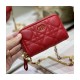 Christian Dior Mini Caro Zipped Pouch S5087