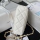 Chanel Small Flap Bag in Lambskin AS4012