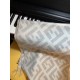 Fendi Cashmere FF Logo Scarf FXT260