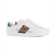 Gucci Ace Sneaker with Gucci Band 603693