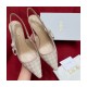 Dior J&#039;Adior Slingback Kitten Heel Pumps Pink