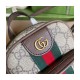 Gucci Ophidia Mini Bag 671682