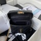 Chanel Grained Calfskin Small Vanity Case AS3729