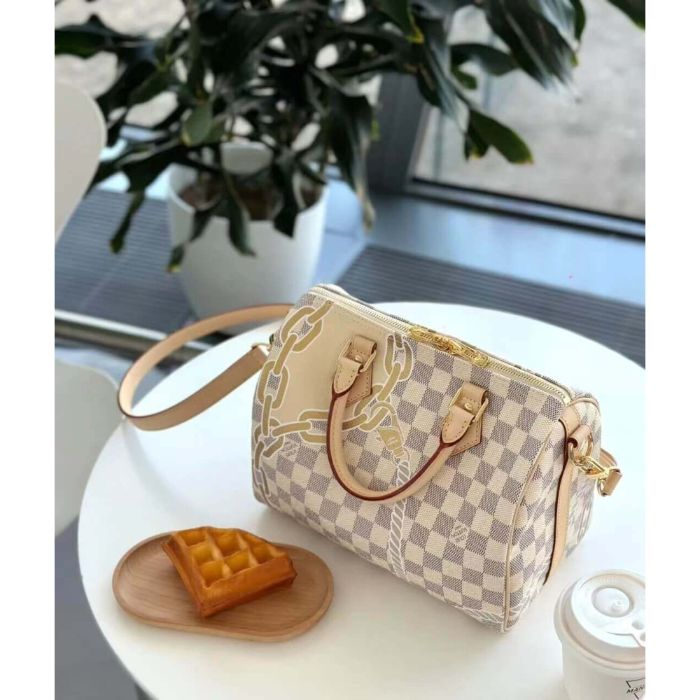 Louis Vuitton Damie Azur Speedy Bandouliere 25 N40473