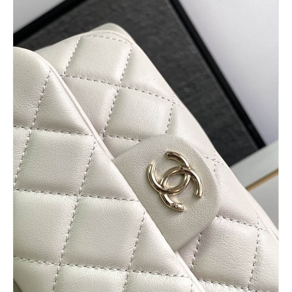 Chanel Calfskin Quilted Medium Duma Backpack AS3618