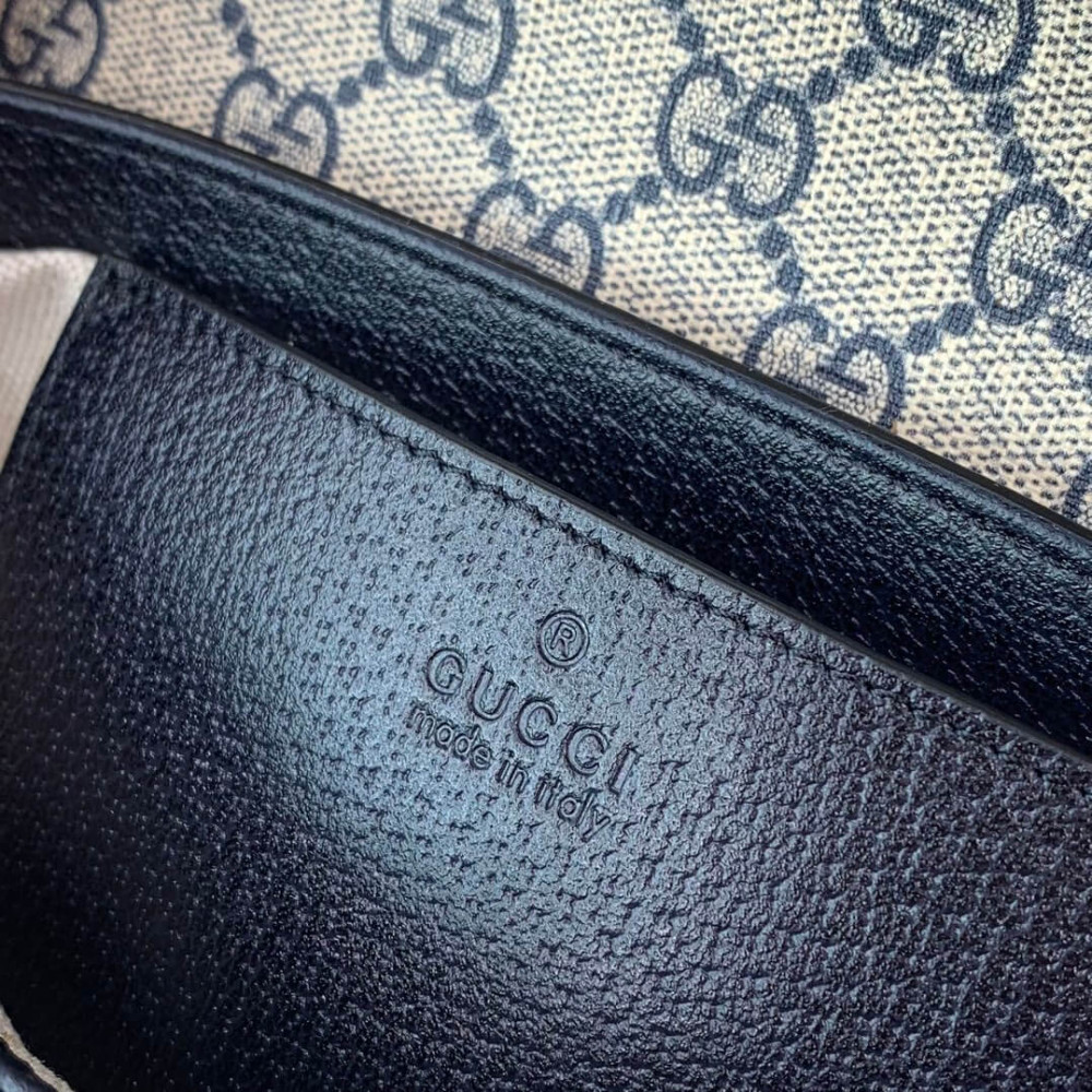 Gucci Ophidia Mini Bag 764961