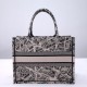 Christian Dior Book Tote Beige and Black Plan de Paris Embroidery