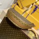 Louis Vuitton Monogram Loop Hobo Bag M46311