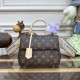 Louis Vuitton Monogram Canvas Cluny Mini Bag M46055