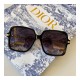 Dior Link 1 Shaded Square Sunglasses 90008