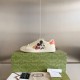 Gucci x Disney Ivory Leather Mickey Mouse Ace Sneaker 602129