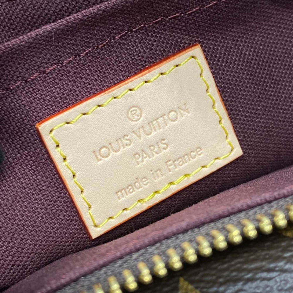 Louis Vuitton Monogram Canvas Vibe Bag M46999