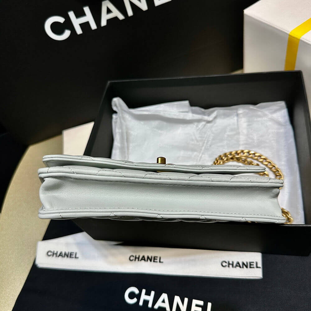 Chanel Camellia Crush Wallet On Chain Lambskin AP3297