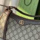 Gucci Ophidia GG Small Handbag 735145