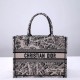 Christian Dior Book Tote Beige and Black Plan de Paris Embroidery