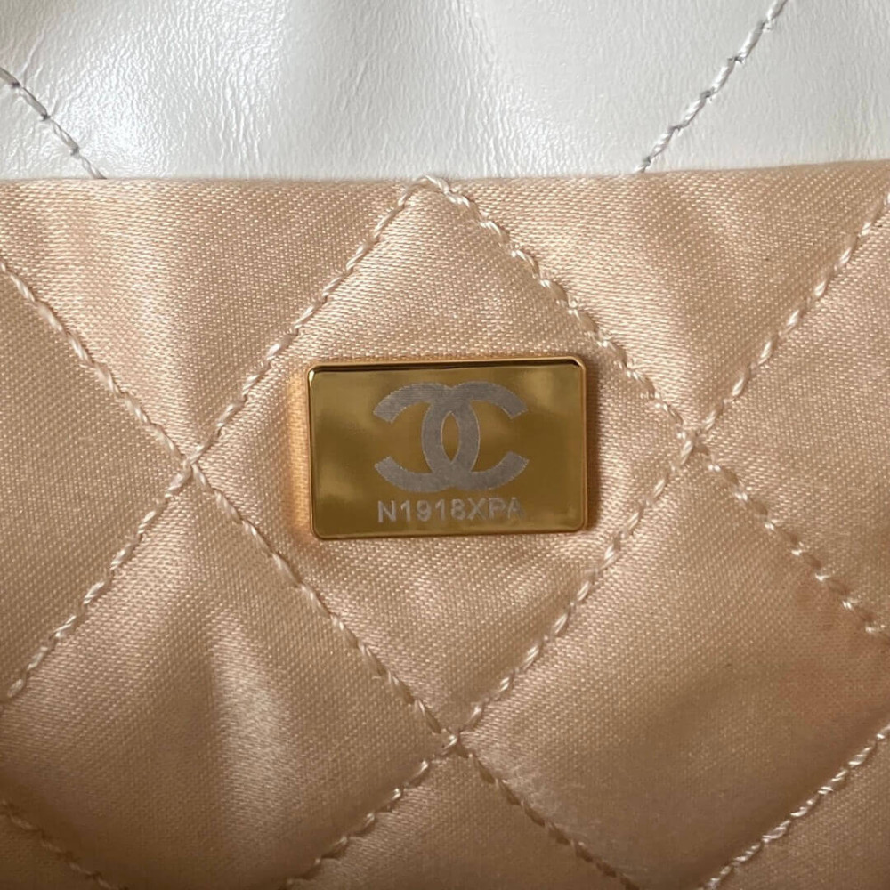 Chanel 22 Mini Bag in Shiny Calfskin AS3980