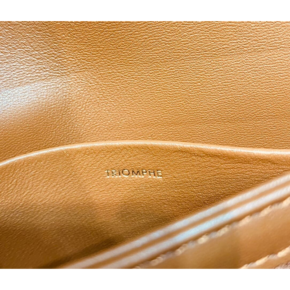 Celine Teen Triomphe Bag In Textile and Calfskin Natural/Tan 188423