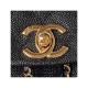 Chanel Small Duma Backpack Caviar Calfskin AS3860