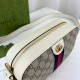 Gucci Ophidia GG Shoulder Bag 681064