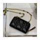 Christian Dior Mini Caro Zipped Pouch S5087