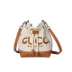 Gucci Mini Shoulder Bag With Gucci Print 777166