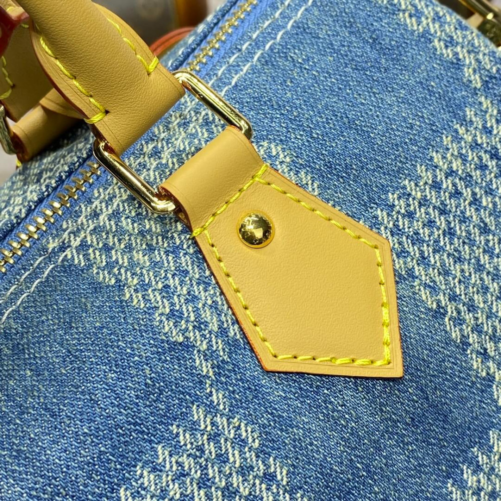 Louis Vuitton Speedy 25 Damier Denim 3D N40700