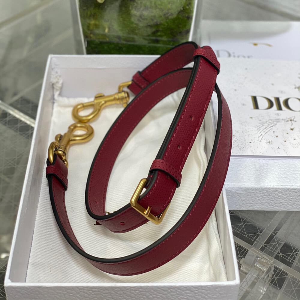 Dior Mini Saddle Bag with Strap Grained Calfskin M0456