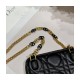 Christian Dior Mini Caro Zipped Pouch S5087