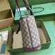 Gucci Ophidia GG Mini Tote Bag 765043