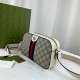 Gucci Ophidia GG Shoulder Bag 681064