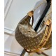 Louis Vuitton Monogram Loop Hobo Bag M46311