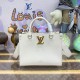 Louis Vuitton Lock &amp; Go Bag M22311 M23637