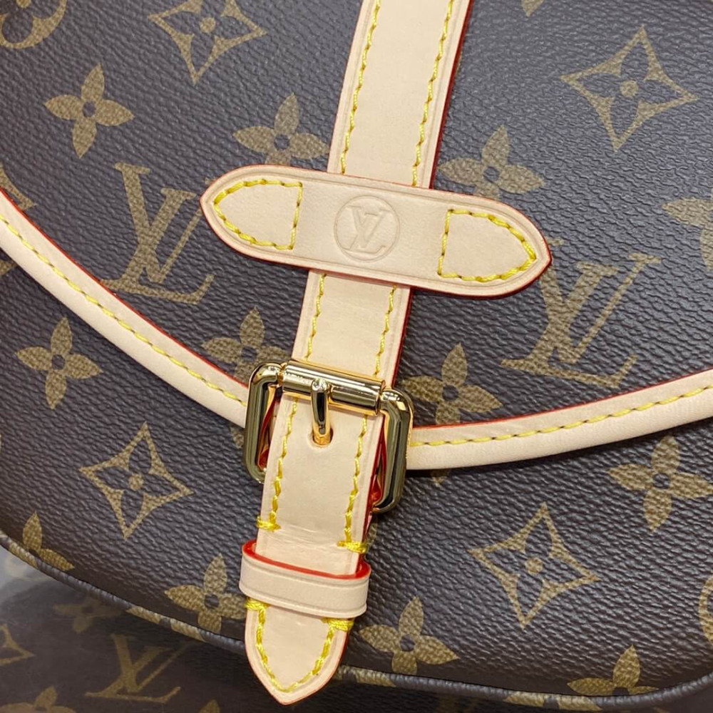 Louis Vuitton Monogram Canvas Saumur BB Bag M46740