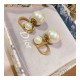 Dior Petit CD Earrings E1296