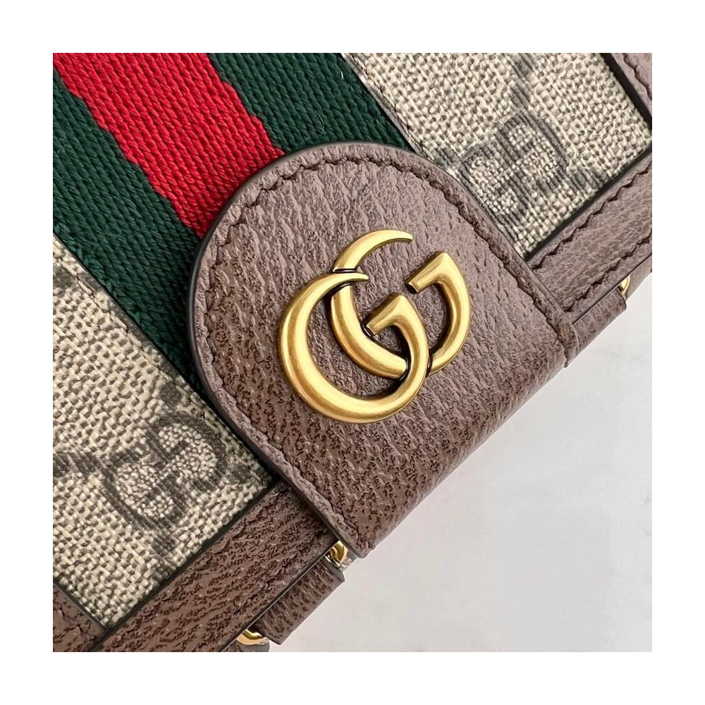 Gucci Ophidia Mini Bag and Detachable Wallet 699173