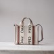 Chloe Small Woody Tote Bag N7666