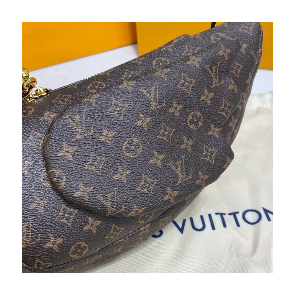 Louis Vuitton Monogram Canvas Duck Bag M45990