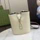 Gucci Mini Bucket Shoulder Bag 782908