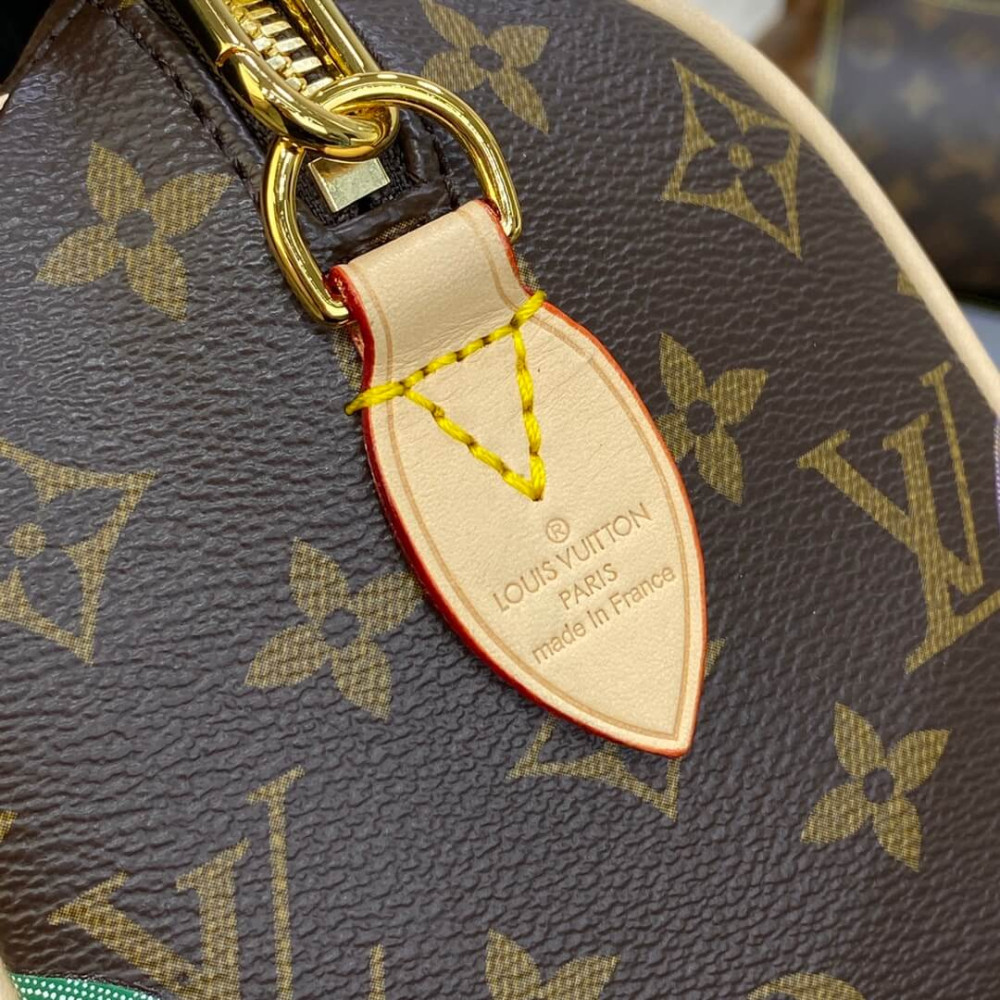 Louis Vuitton x Yayoi Kusama Speedy Bandouliere 20 M46469