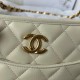 Chanel Hobo Bag AS4666