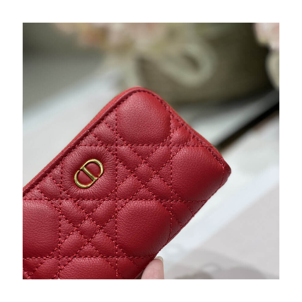 Christian Dior Mini Caro Zipped Pouch S5087