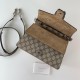 Gucci Small Dionysus Top Handle Bag 739496 Taupe Suede Trim