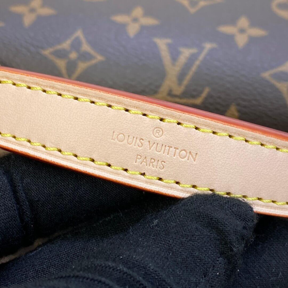 Louis Vuitton Monogram Canvas Cluny BB Bag