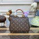 Louis Vuitton Monogram Canvas Cluny Mini Bag M46055