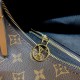 Louis Vuitton Monogram Loop Hobo Bag M46311