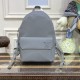 Louis Vuitton Takeoff Backpack M59325 Gray